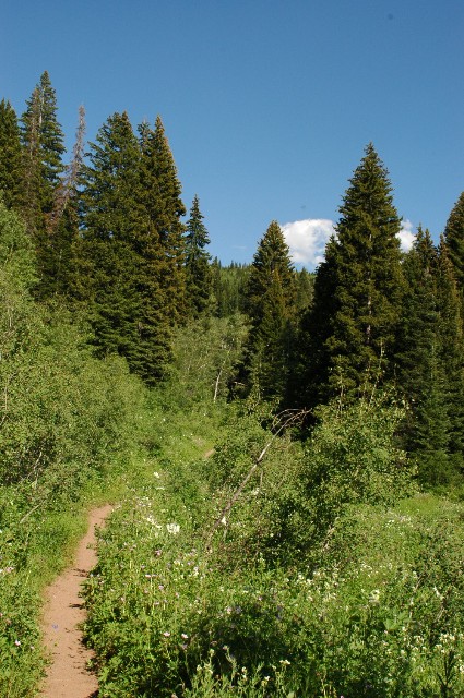 Little Water Trail